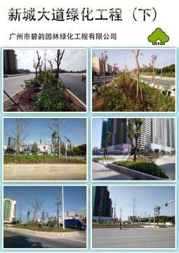 增城新城大道綠化工程 提升城市形象，筑就綠色長廊