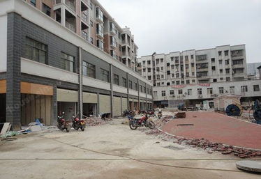 大漢精品建材城 優(yōu)質(zhì)木材選購指南