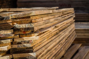 深度解析 為何申請中國木材網審核未通過？